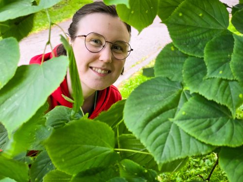 Ruu kesätyökoordinaattori